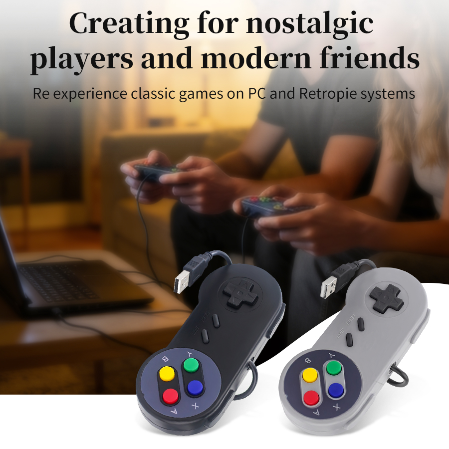 USB Retro Gamepad voor PC NESP - Retro Gaming Raspberry Pi 5 recensie en prijs